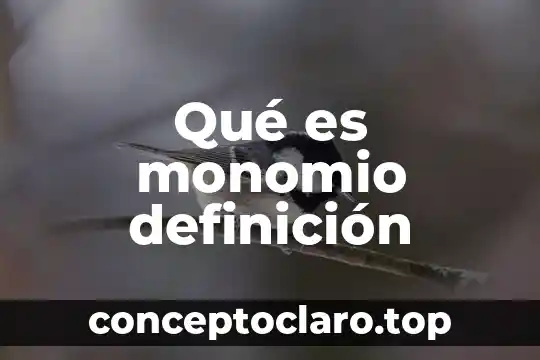 Definicion de hidraulica que es significado 4 Qué es monomio definición