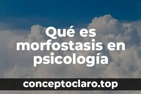 Qué es morfostasis en psicología