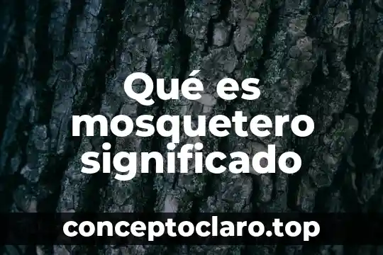 Significado que es leer para mi 4 Qué es mosquetero significado