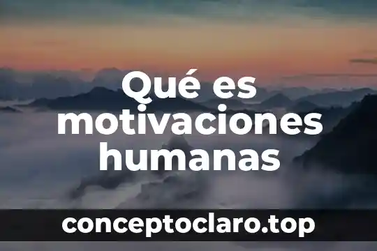 Vasco que es 3 Qué es motivaciones humanas