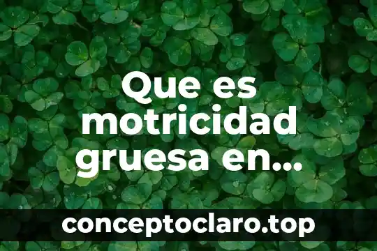 Que es motricidad gruesa en niños