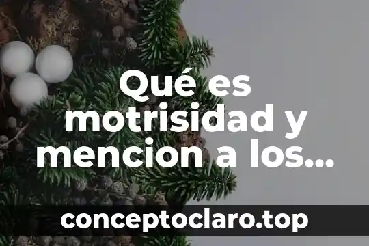 Qué es la prensión tipos 5 Qué es motrisidad y mencion a los tipos