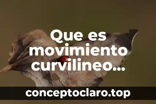 Que es el de movimiento 7 Que es movimiento curvilineo pendular