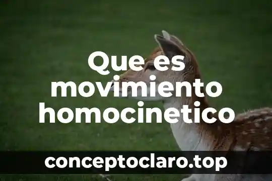 Que es el de movimiento 4 Que es movimiento homocinetico