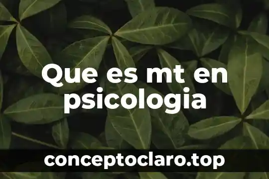 Que es mt en psicologia