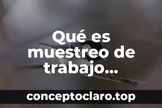 Que es espiritualidad objetivo 8 Qué es muestreo de trabajo objetivo