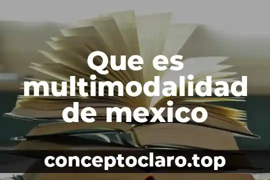 Que es multimodalidad de mexico