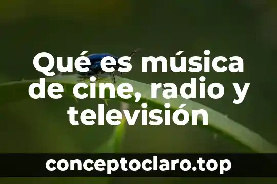Qué es el número de serie de una televisión 6 Qué es música de cine, radio y televisión