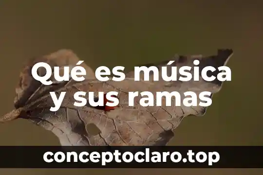 Qué es música y sus ramas
