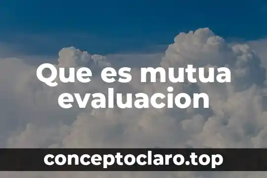 Que es validez en evaluacion 5 Que es mutua evaluacion