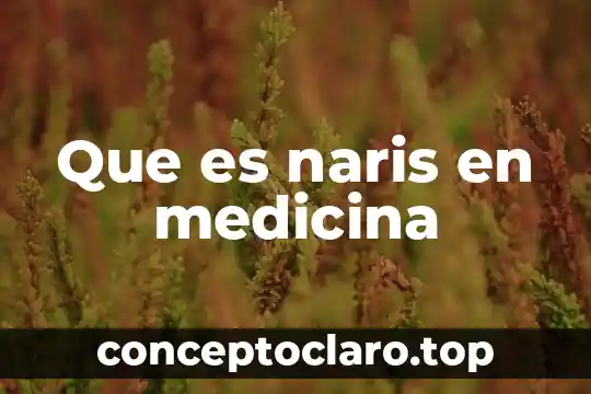 Que es homologia en medicina 6 Que es naris en medicina