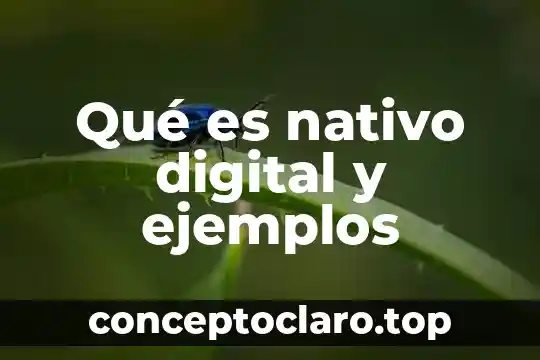 Qué es nativo digital y ejemplos