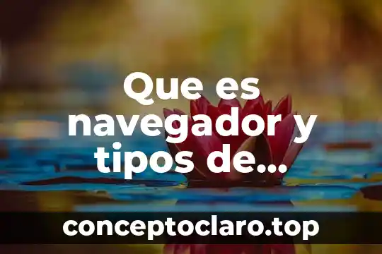 Que es navegador y tipos de navegadores
