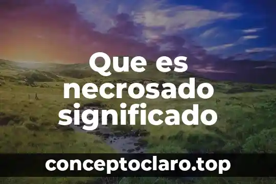Qué es animoso significado 7 Que es necrosado significado