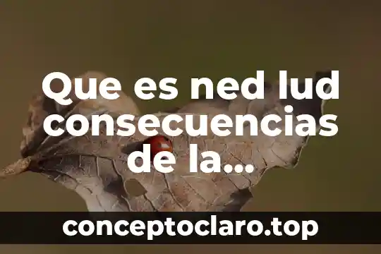 Que es ned lud consecuencias de la revolución industrial