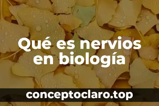 Qué es nervios en biología