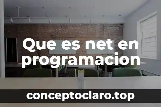 Que es net en programacion