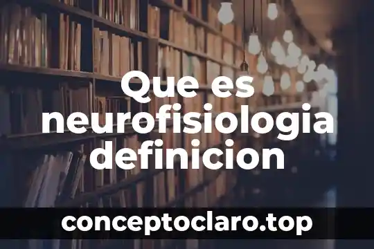 Que es neurofisiologia definicion