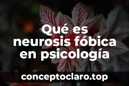 Qué es para psicología anormalidad 8 Qué es neurosis fóbica en psicología