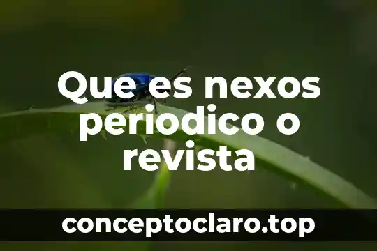 Que es nexos periodico o revista