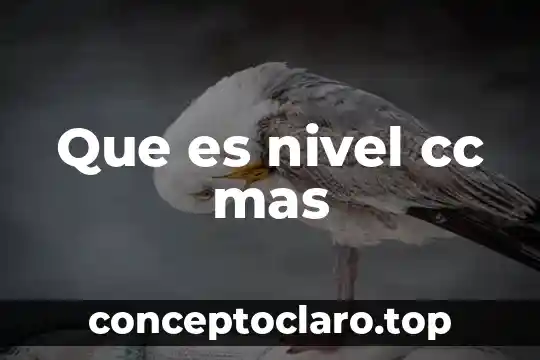 Que es mas importante el significado o el significante 7 Que es nivel cc mas