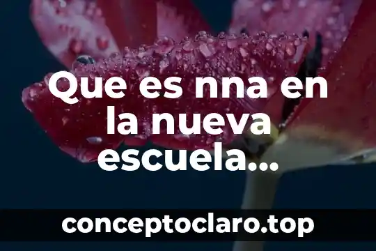 Qué es una bisnaga en comida mexicana 4 Que es nna en la nueva escuela mexicana