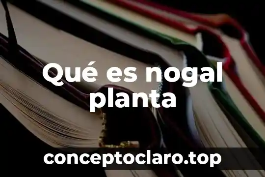 Qué es un layout de una planta 5 Qué es nogal planta