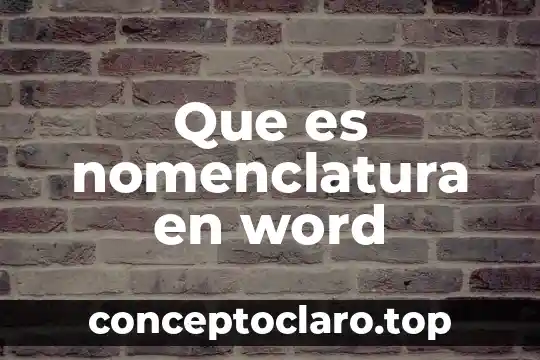 Qué es espaciado entre párrafos en Word 3 Que es nomenclatura en word