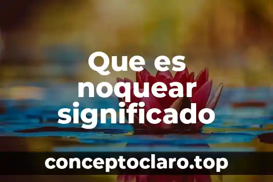 Qué es Malandrin significado 7 Que es noquear significado