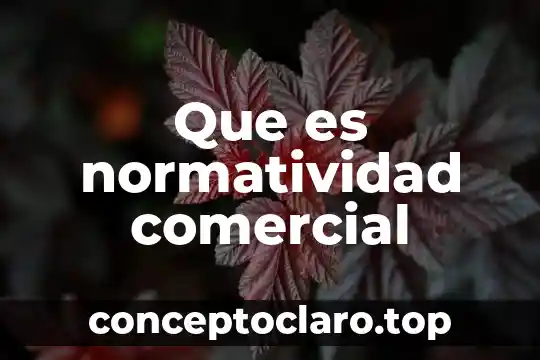 Tecno Comercial que es 6 Que es normatividad comercial
