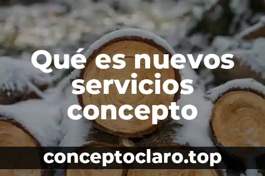 Qué es nuevos servicios concepto