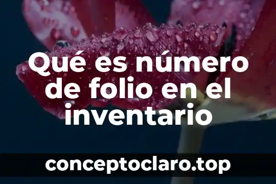 Qué es un número de folio 7 Qué es número de folio en el inventario