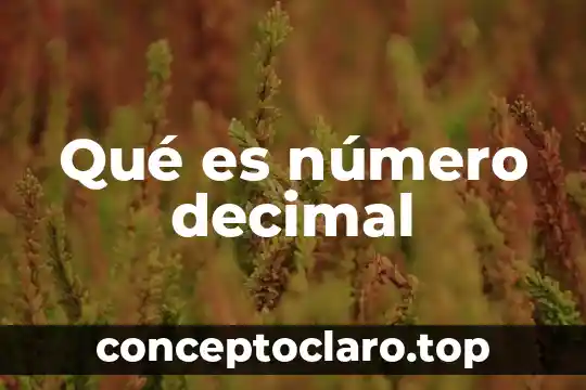 Que es notacion decimal para numeros racionales 8 Qué es número decimal