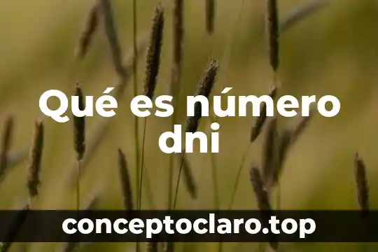 Qué es número dni