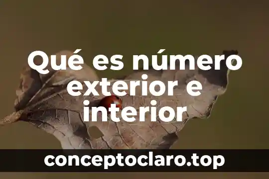 Qué es número exterior e interior
