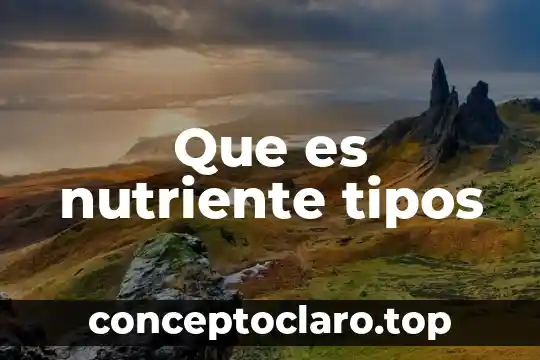 Qué es maíz tipos clasificación 3 Que es nutriente tipos