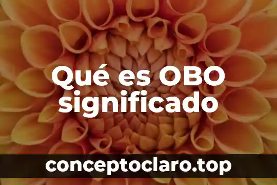 Que es significado llanuras 3 Qué es OBO significado