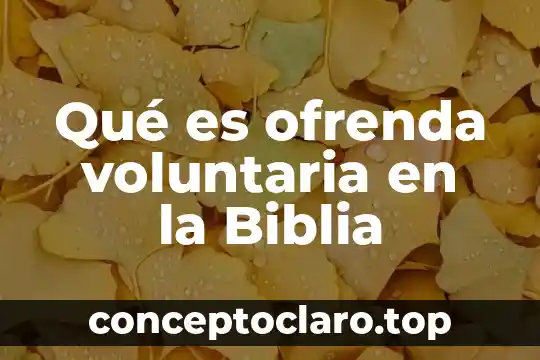 Que es la conciencia del hombre segun la biblia 4 Qué es ofrenda voluntaria en la Biblia