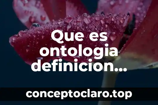 Que es ontologia definicion etimologica