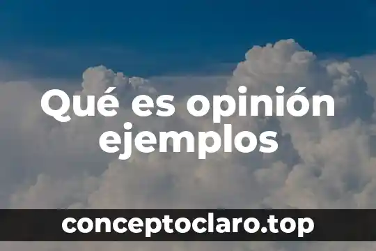 Qué es opinión ejemplos