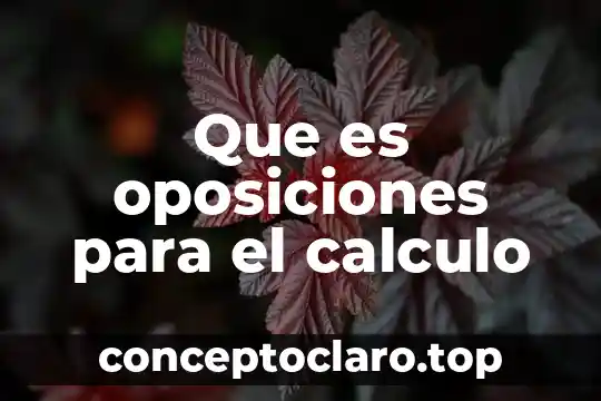 Que es oposiciones para el calculo