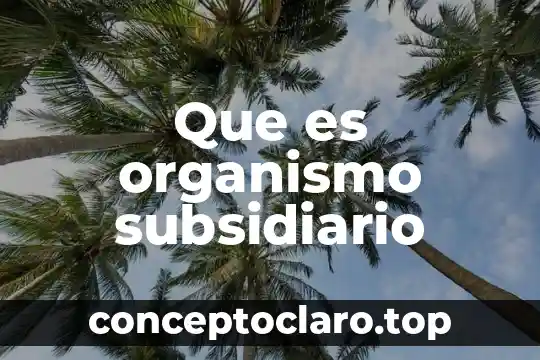Que es organismo subsidiario