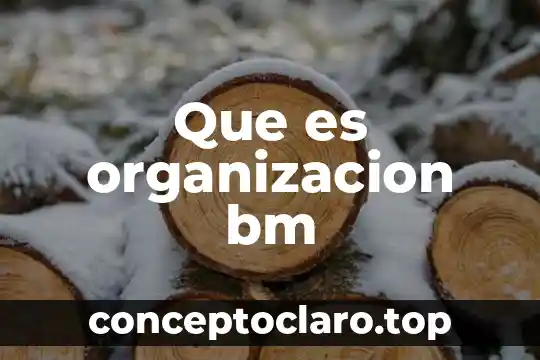 Que es un gasto de organizacion 5 Que es organizacion bm