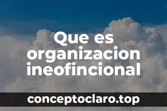 Que es organizacion ineofincional