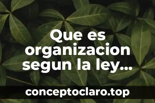 Que es organizacion segun la ley federal del trabajo