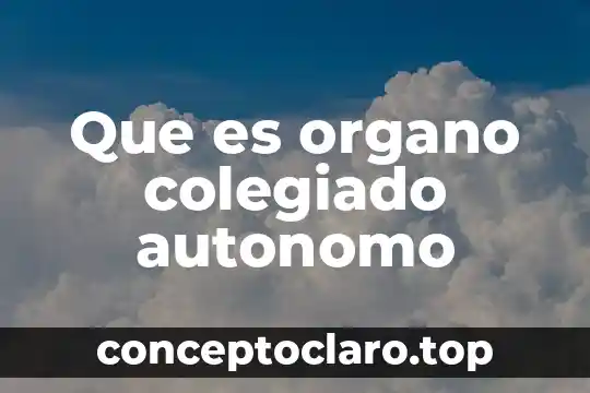 Que es organo colegiado autonomo