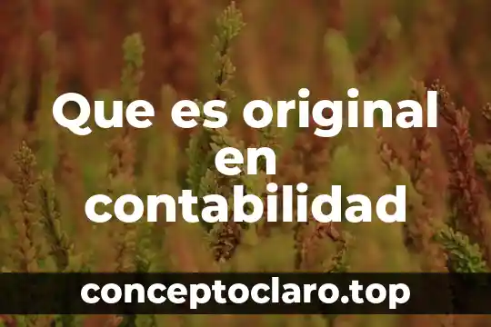 Que es original en contabilidad