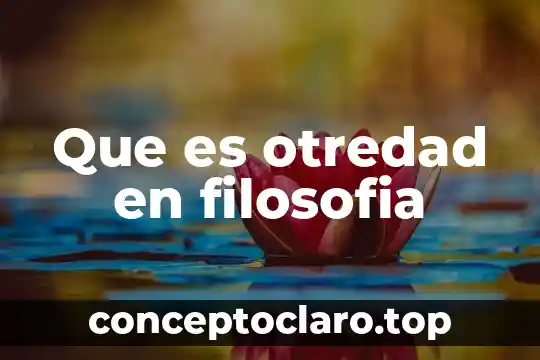 Metodologia filosofia que es 6 Que es otredad en filosofia