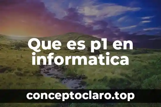 Que es didactica de la informatica 8 Que es p1 en informatica