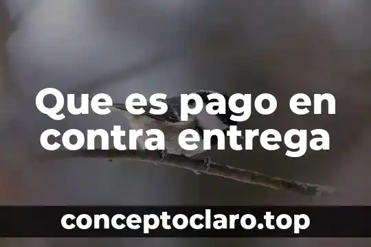 Que es el control de entrega de materiales 5 Que es pago en contra entrega